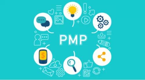 什么叫PMP，有什么作用？